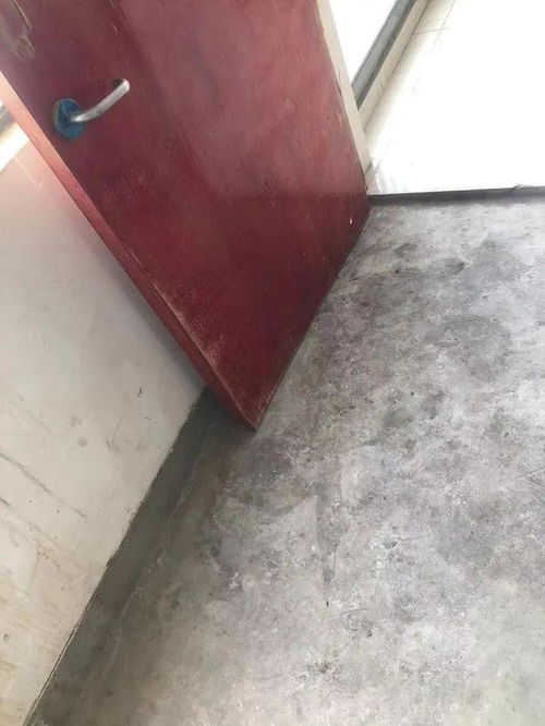 泡沫箱堆积成隐患，回音壁迅速接办显担当