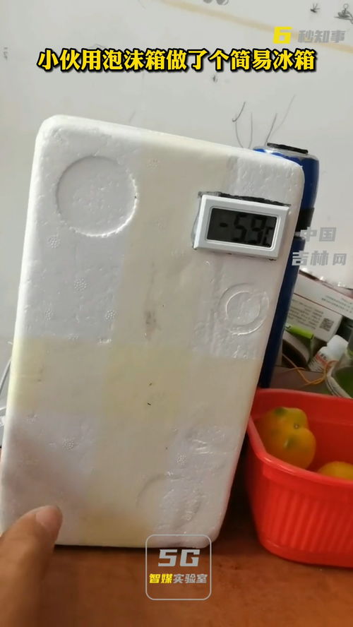泡沫箱巧变“冰箱” 双鸭山小伙创意获赞，动手精神引共鸣